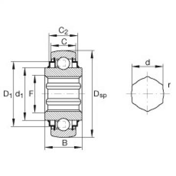 Подшипник SK100-206-KRR-B-AH11 INA