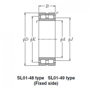 Bearing SL01-4836