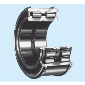 Bearing NNCF4860V