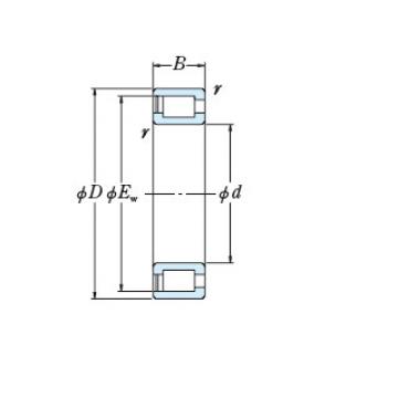 Bearing RS-5072