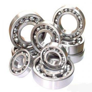 16007V4, Thailand Single Row Radial Ball Bearing - Open Type