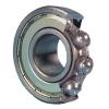 NTN Australia 6004LBZ Single Row Ball Bearings #1 small image