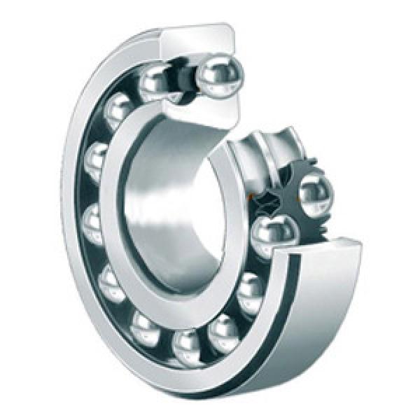 SKF 1218 K/C4 Self Aligning Ball Bearings #1 image