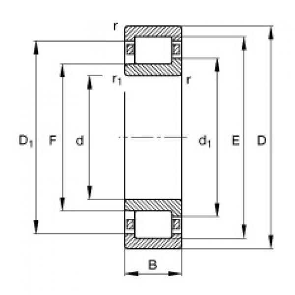 Подшипник NJ2224-E-TVP2 FAG #1 image