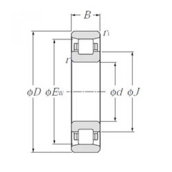 Подшипник N205E CYSD #1 image