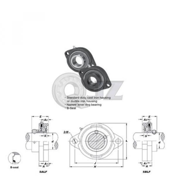 1 in 2-Bolt Flange Units Cast Iron SBLF205-16 Mounted Bearing SB205-16+LF205 #2 image