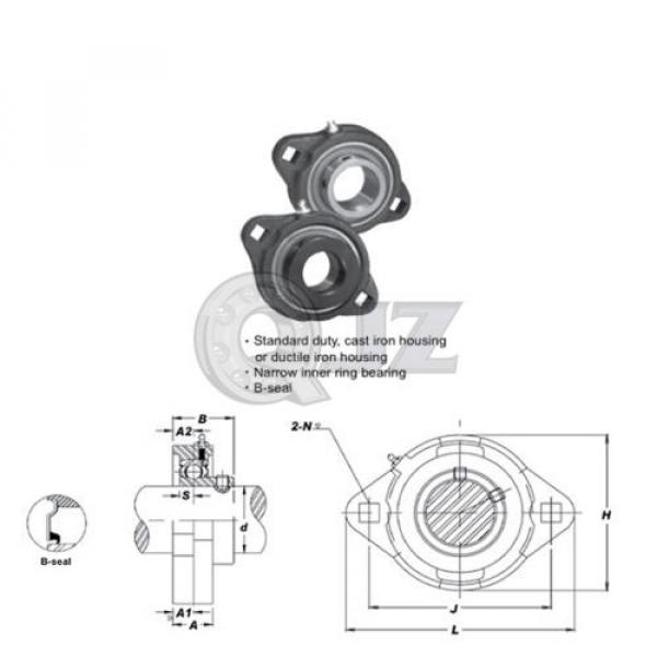 1 in 2-Bolt Flange Units Cast Iron SBFTD205-16 Mounted Bearing SB205-16+FTD205 #2 image