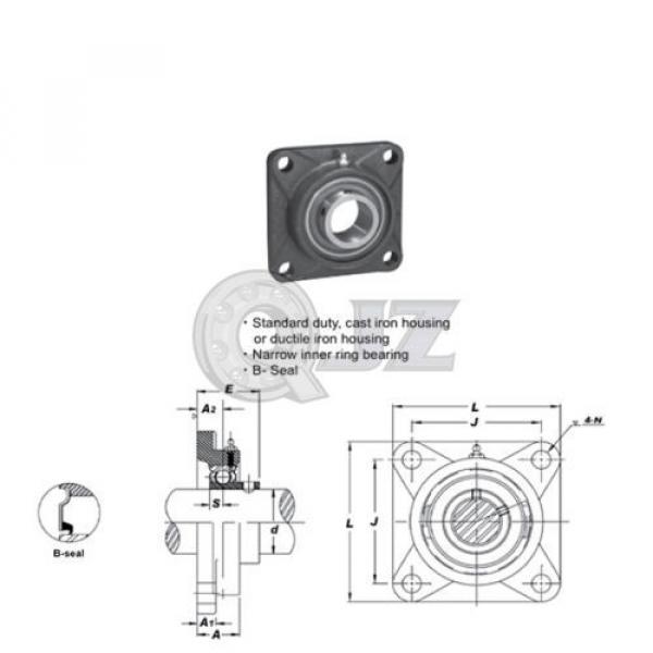 1 in Square Flange Units Cast Iron SBF205-16 Mounted Bearing SB205-16+F205 #2 image